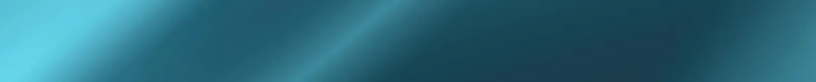 &nbsp;
